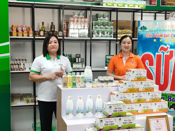 Hà Nội mở “Chợ đêm trên mây” hỗ trợ tiêu thụ sản phẩm OCOP - Ảnh 1.