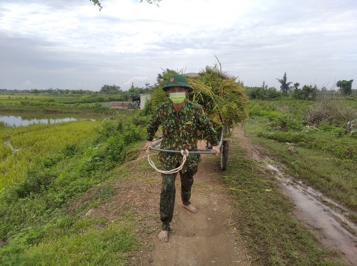 Nghệ An: Bộ đội hỗ trợ người dân gặt lúa chạy mưa lũ - Ảnh 4.