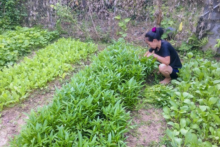 Bà con vùng “cựu tâm dịch” ủng hộ cho bệnh viện ở Hà Nội hơn 8 tấn rau, củ quả - Ảnh 1.