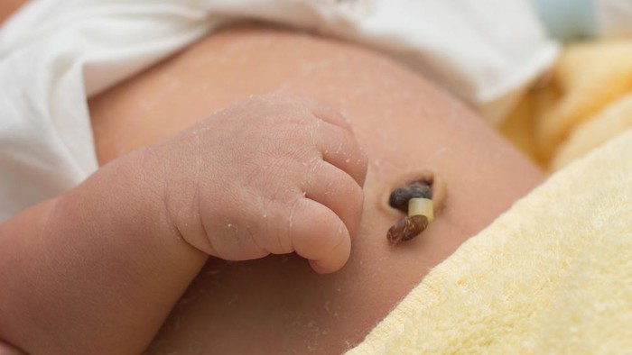 9 bộ phận cơ thể của trẻ sơ sinh cha mẹ hạn chế đụng chạm - Ảnh 2.