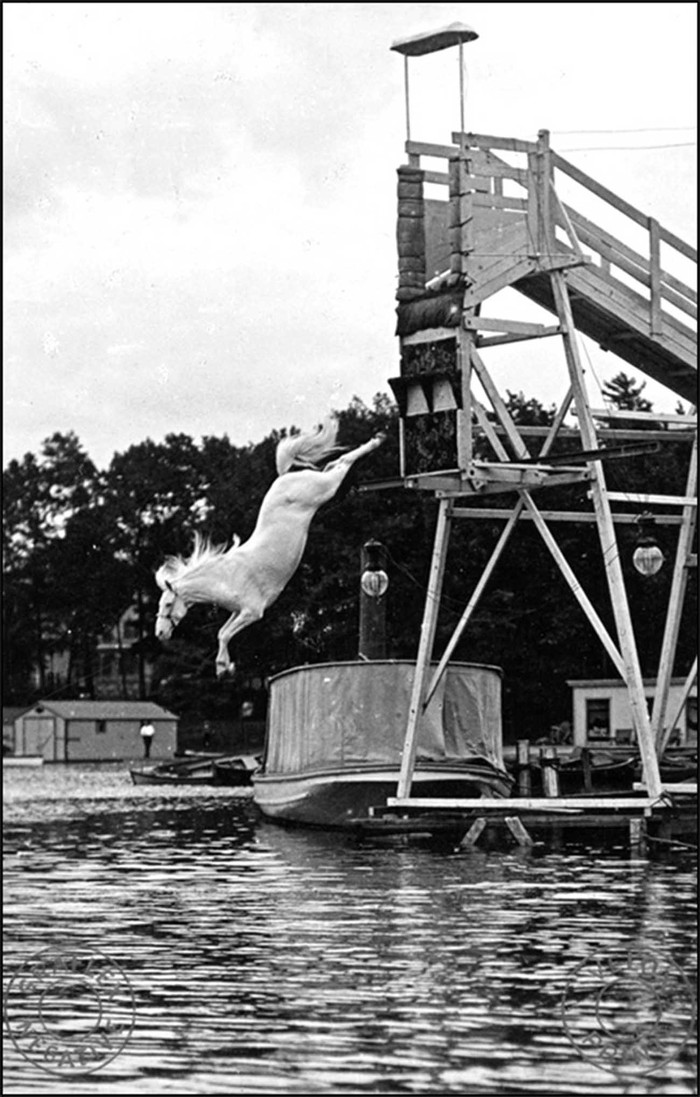 Ngựa lặn: Một trong những môn thể thao nguy hiểm nhất hành tinh những năm 1900-1970 - Ảnh 3.