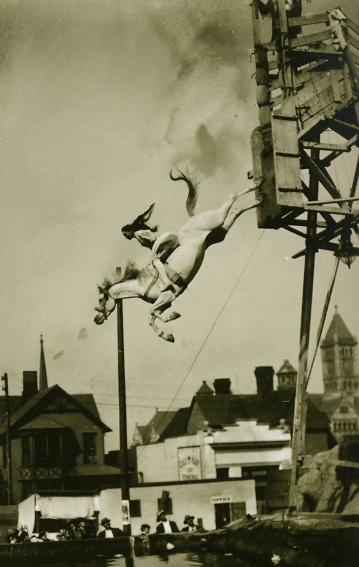 Ngựa lặn: Một trong những môn thể thao nguy hiểm nhất hành tinh những năm 1900-1970 - Ảnh 4.