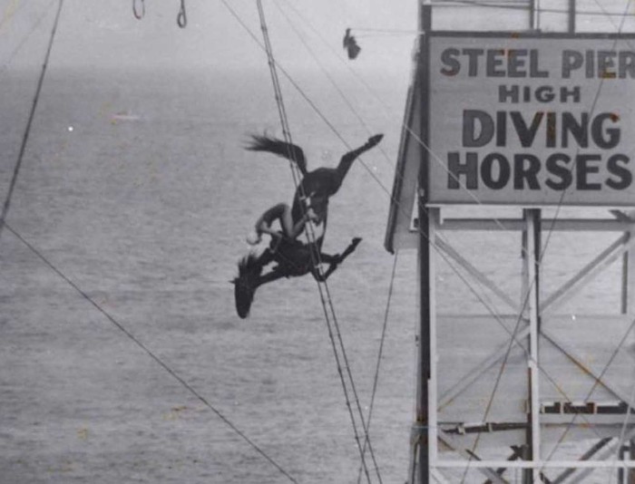 Ngựa lặn: Một trong những môn thể thao nguy hiểm nhất hành tinh những năm 1900-1970 - Ảnh 5.