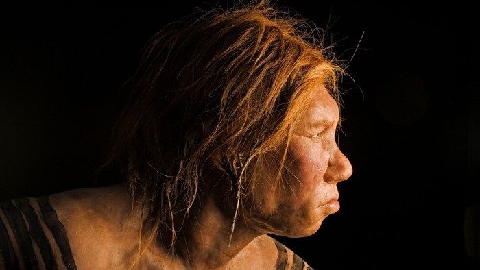 Nghiên cứu mới cho thấy người hiện đại và người Neanderthal đã có thời gian &quot;vay mượn công nghệ&quot; của nhau để cùng tồn tại  - Ảnh 1.
