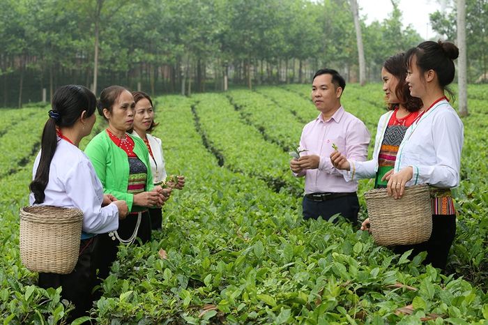 Cầu nối tiếp cận với nguồn vốn ưu đãi cho hội viên phụ nữ - Ảnh 1.