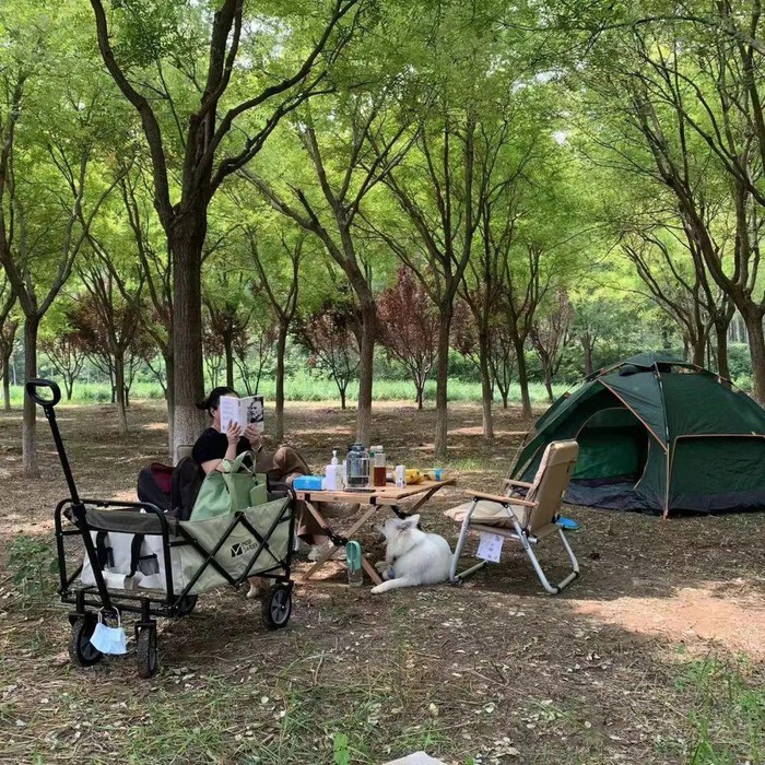 Làm việc 5 ngày, 2 ngày cuối tuần một nhóm người trẻ rủ nhau về quê làm ruộng để giải tỏa áp lực - Ảnh 2.