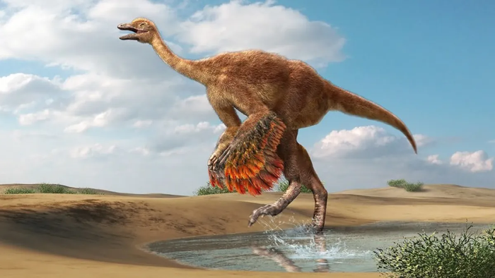 Phát hiện loài khủng long giống &quot;đà điểu khổng lồ&quot; từng sinh sống cách đây 85 triệu năm! - Ảnh 1.