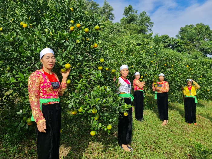 Đổi mới cách thức thông tin, tuyên truyền chính sách đến cơ sở, đến người dân - Ảnh 5.