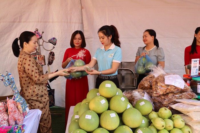 Thúc đẩy hệ sinh thái khởi nghiệp sáng tạo dành cho phụ nữ: Từ chính sách đến thực tiễn - Ảnh 2.