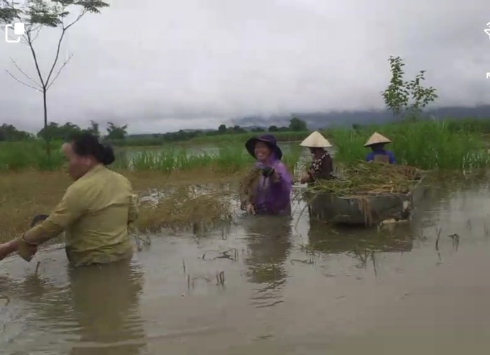 Các cấp Hội phụ nữ Thanh Hóa chung tay giúp người dân khắc phục ngập úng do mưa lũ - Ảnh 2.