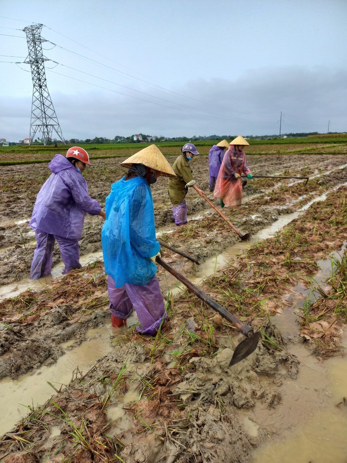 Các cấp Hội phụ nữ Thanh Hóa chung tay giúp người dân khắc phục ngập úng do mưa lũ - Ảnh 5.