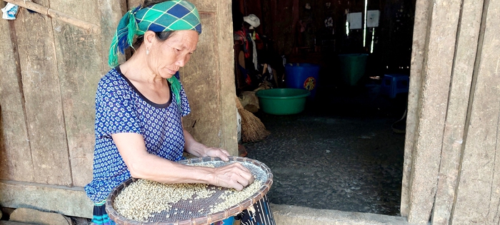 Phụ nữ Tung Chung Phố thoát nghèo nhờ đưa cây đậu tương lên núi  - Ảnh 3.