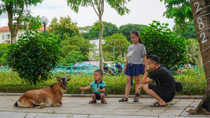 Hồ rộng hơn quận Hoàn Kiếm, là nơi ngắm cảnh suốt 1.000 năm ở Hà Nội  - Ảnh 13.