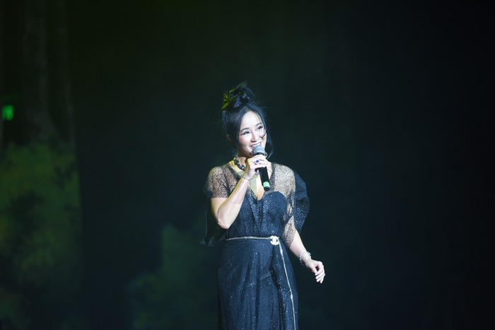 Ca sĩ Hồng Nhung