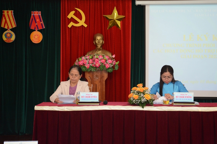 Hội LHPN tỉnh Gia Lai hỗ trợ phụ nữ cao tuổi  - Ảnh 1.