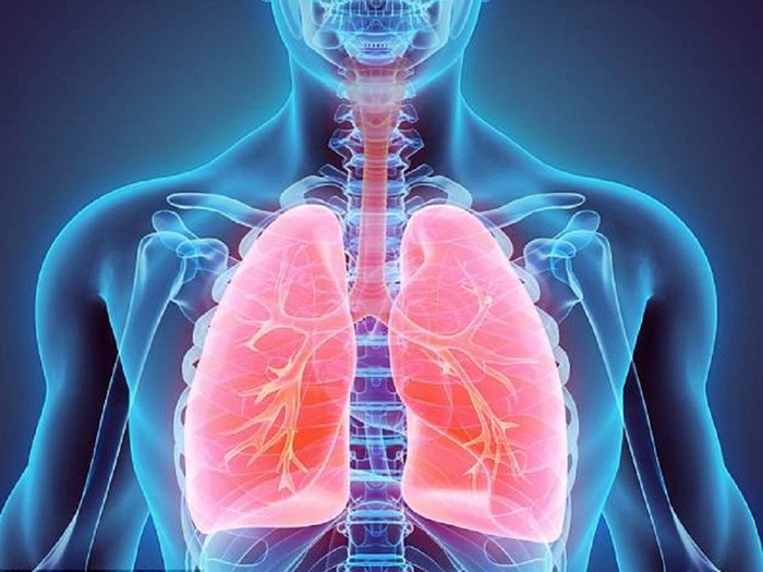 Viêm phế quản có chuyển thành viêm phổi không? - Ảnh 1.