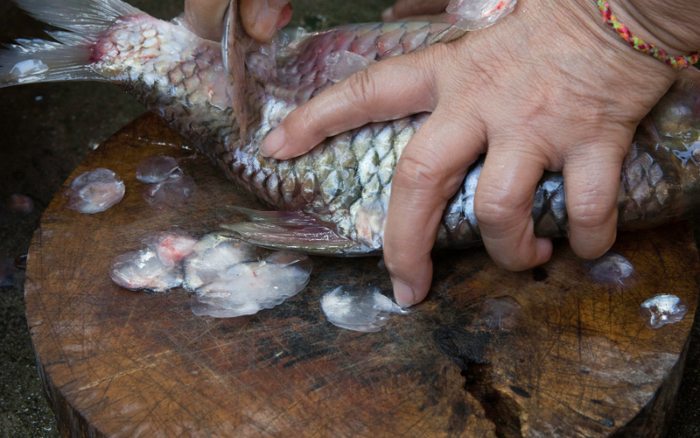 Rán cá không nên cho trực tiếp vào chảo, nhớ 5 lưu ý này, cá ngoài giòn trong mềm ăn vừa ngậy lại thơm - Ảnh 1.