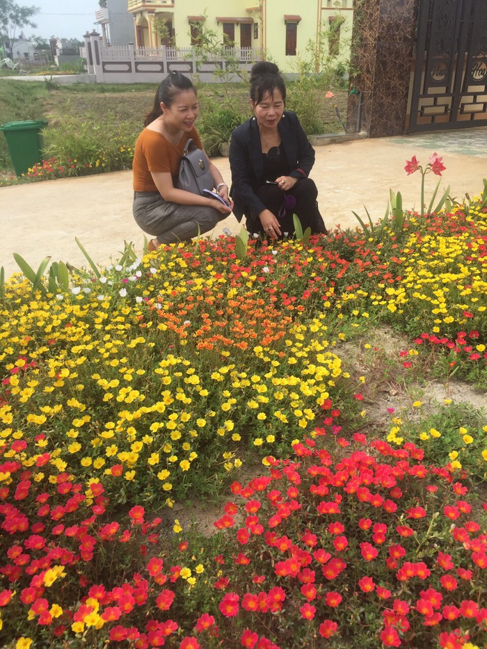 Thanh Hoá: Phụ nữ huyện Đông Sơn chung sức xây dựng nông thôn mới kiểu mẫu tiêu biểu - Ảnh 1.