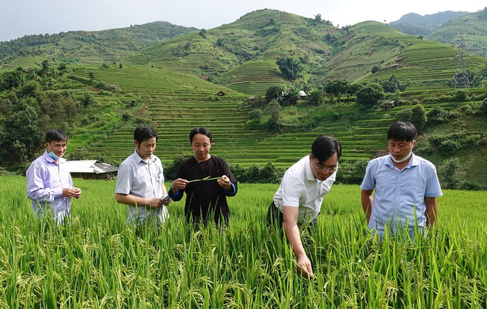 Đổi thay ở Mù Cang Chải - Ảnh 4.