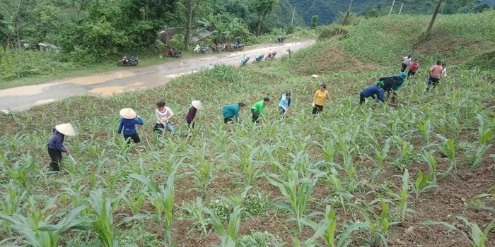 Hỗ trợ xây dựng nhà vệ sinh, góp phần thực hiện tiêu chí về Môi trường trong xây dựng nông thôn mới - Ảnh 1.