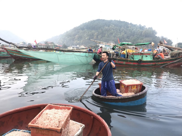 Bóc vỏ tôm, chị em cứ tay nhanh là tiền nhiều - Ảnh 2.