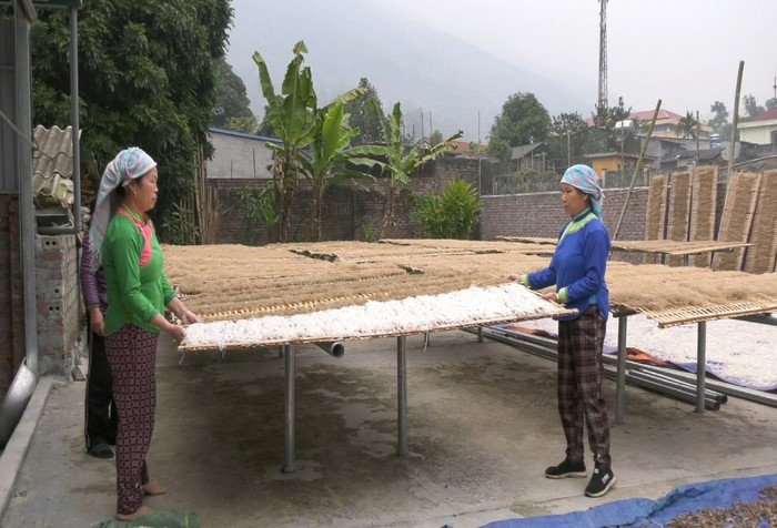 Cơ sở sản xuất miến dong giúp nhiều phụ nữ khó khăn có công việc, góp phần xóa đói giảm nghèo - Ảnh 2.