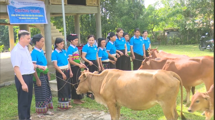 Tổ liên kết chăn nuôi bò cái sinh sản giúp chị em thoát nghèo - Ảnh 1.