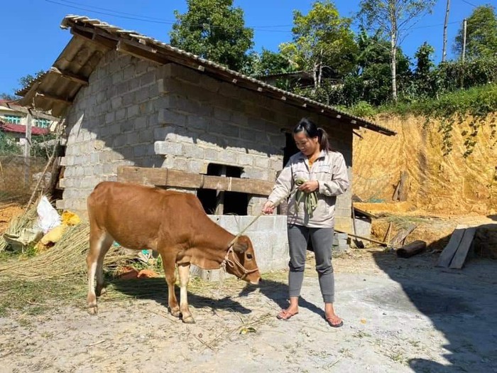 Nhiều mô hình hỗ trợ phụ nữ phát triển kinh tế, giảm nghèo bền vững - Ảnh 1.