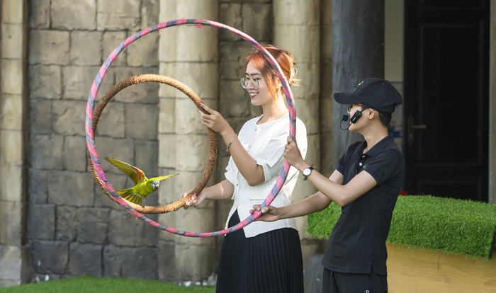 Show Vũ điệu chim trời lần đầu tiên có mặt ở Quảng Ninh - Ảnh 1.