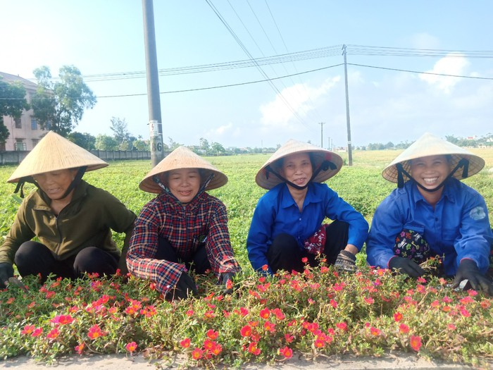 Chị em phụ nữ tay bai, tay cuốc chung tay xây dựng NTM trên quê hương Đại thi hào Nguyễn Du - Ảnh 4.