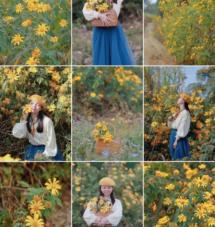3 cách chụp ảnh cực đẹp với hoa dã quỳ  - Ảnh 6.