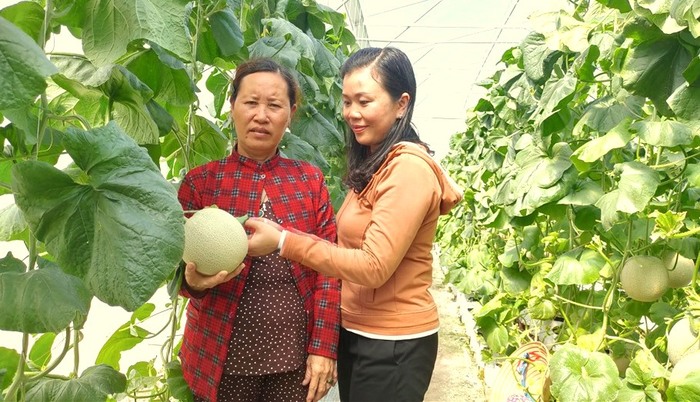 Kiên Giang: Đẩy mạnh đào tạo nghề nông nghiệp cho lao động thuộc hộ nghèo, cận nghèo - Ảnh 1.