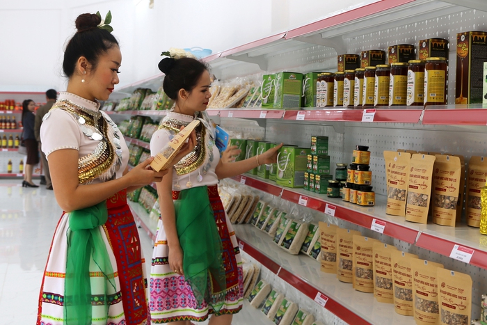 Nâng cao kiến thức về thương mại điện tử, hỗ trợ nông dân nông sản Việt lên sàn  - Ảnh 5.