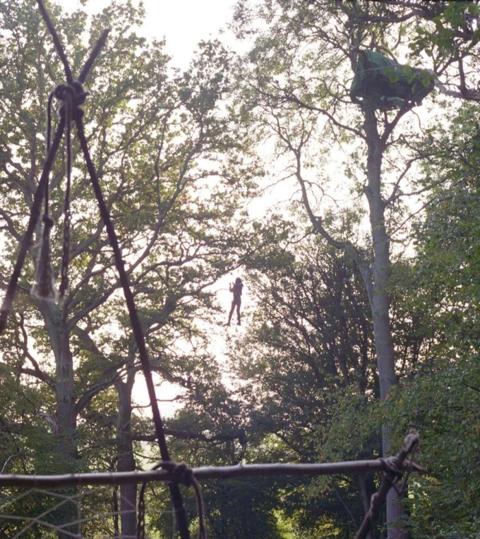 Nhiếp ảnh gia công bố bộ ảnh 'ăn nằm trên cây' của những người bảo vệ môi trường ở Anh từ 27 năm trước - Ảnh 2.