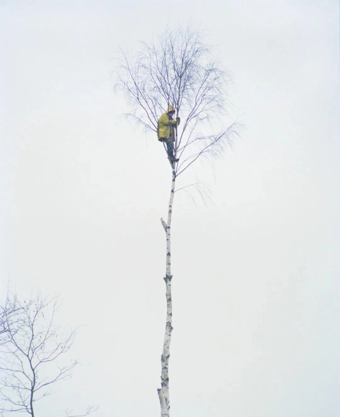 Nhiếp ảnh gia công bố bộ ảnh 'ăn nằm trên cây' của những người bảo vệ môi trường ở Anh từ 27 năm trước - Ảnh 13.
