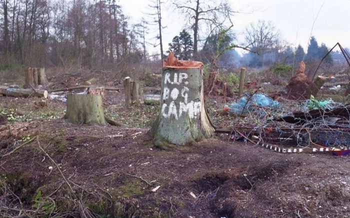 Nhiếp ảnh gia công bố bộ ảnh 'ăn nằm trên cây' của những người bảo vệ môi trường ở Anh từ 27 năm trước - Ảnh 14.