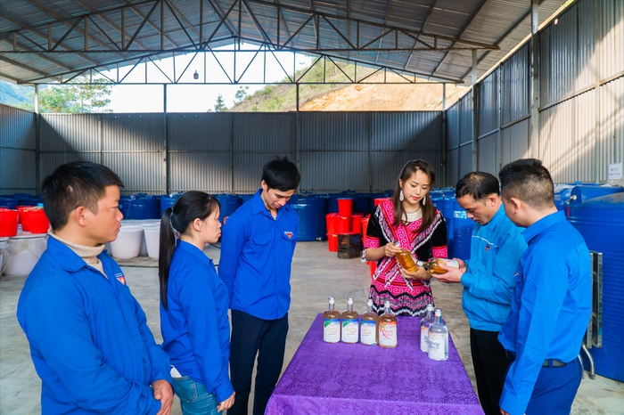Cô gái người Mông giúp nông dân tiêu thụ sản phẩm bằng công nghệ số - Ảnh 4.