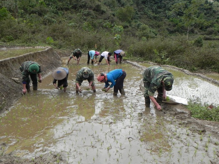 Bộ đội Biên phòng Lai Châu giúp đồng bào dân tộc thiểu số lao đồng sản xuất thắt chặt tình quân dân. Ảnh: Văn Giang