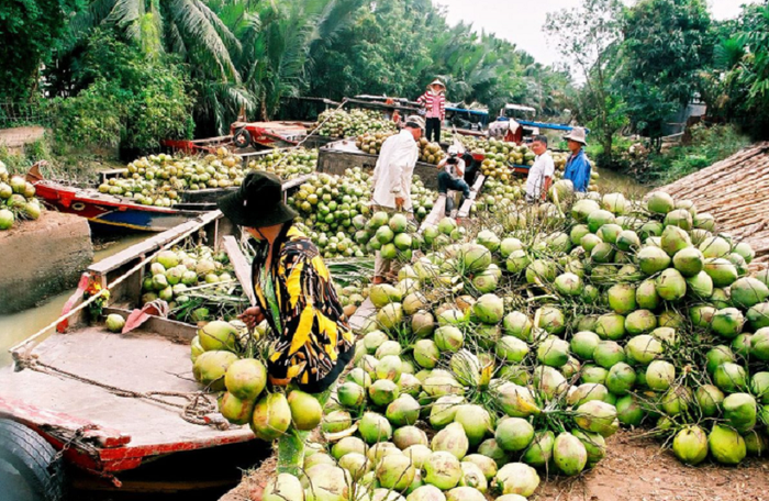 Đời sống phụ nữ xứ dừa khởi sắc nhờ các mô hình, tổ hợp tác hiệu quả  - Ảnh 2.