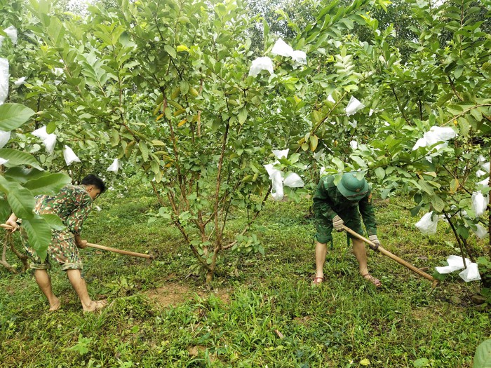 Chung sức trao hy vọng cho phụ nữ thoát nghèo - Ảnh 1.