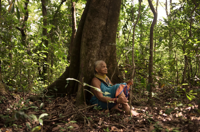 Người phụ nữ có “đôi tay thần kỳ”, giúp hồi sinh những cánh rừng bạt ngàn ở Ấn Độ - Ảnh 5.