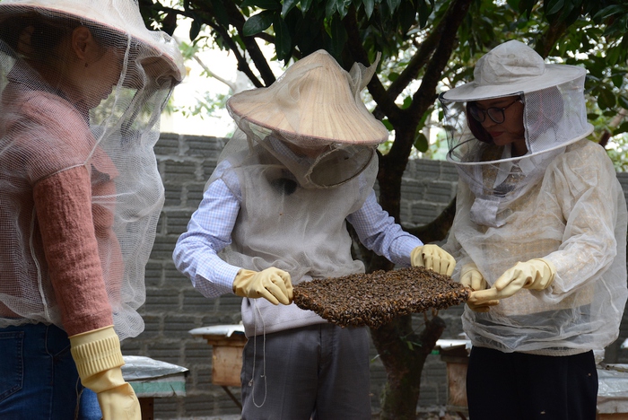 11h ngày 26/12: Đón xem livestream giới thiệu sản phẩm mật ong Thạch Thành (Thanh Hoá) - Ảnh 1.