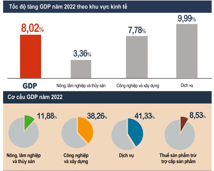 GDP năm 2022 tăng cao nhất trong 12 năm qua - Ảnh 2.