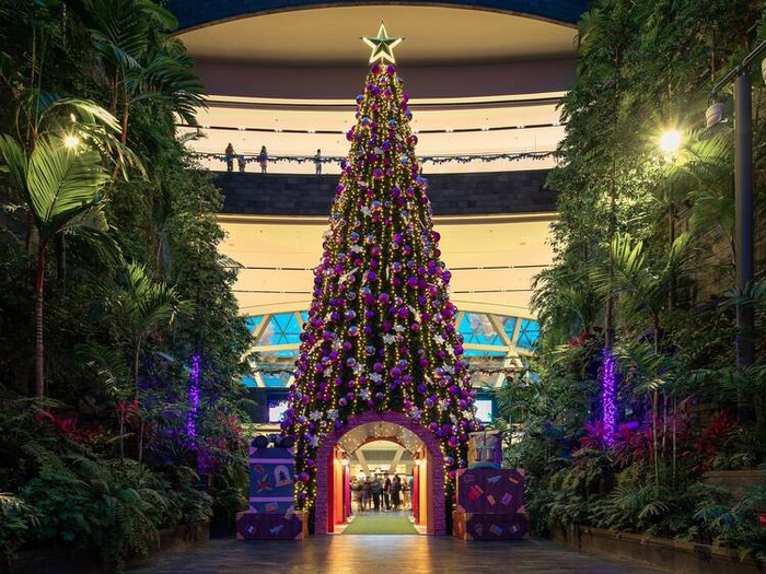 7 địa điểm du lịch Giáng sinh hấp dẫn tại Singapore - Ảnh 2.