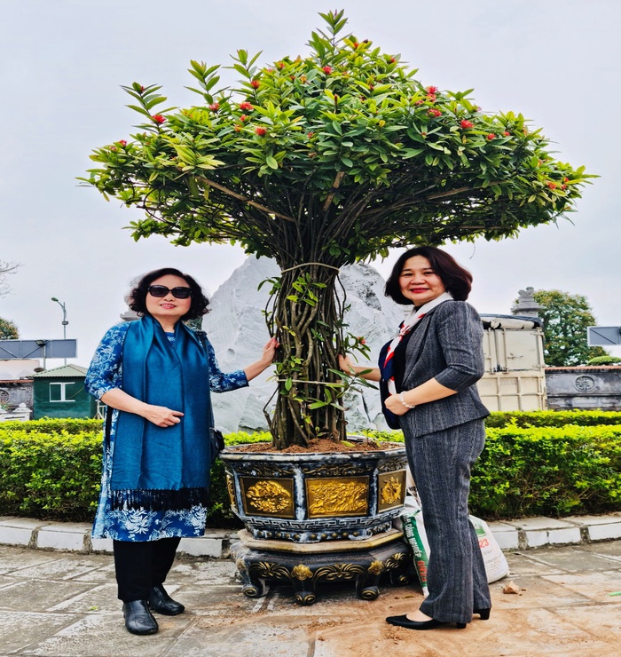 Hội Nữ trí thức hưởng ứng trồng cây chào mừng thành công Đại hội phụ nữ - Ảnh 1.
