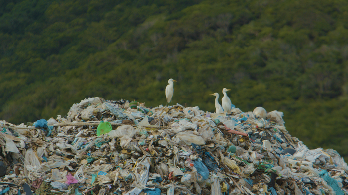 Giảm rác thải nhựa: Xu hướng du lịch văn minh tại các vùng biển đảo - Ảnh 1.