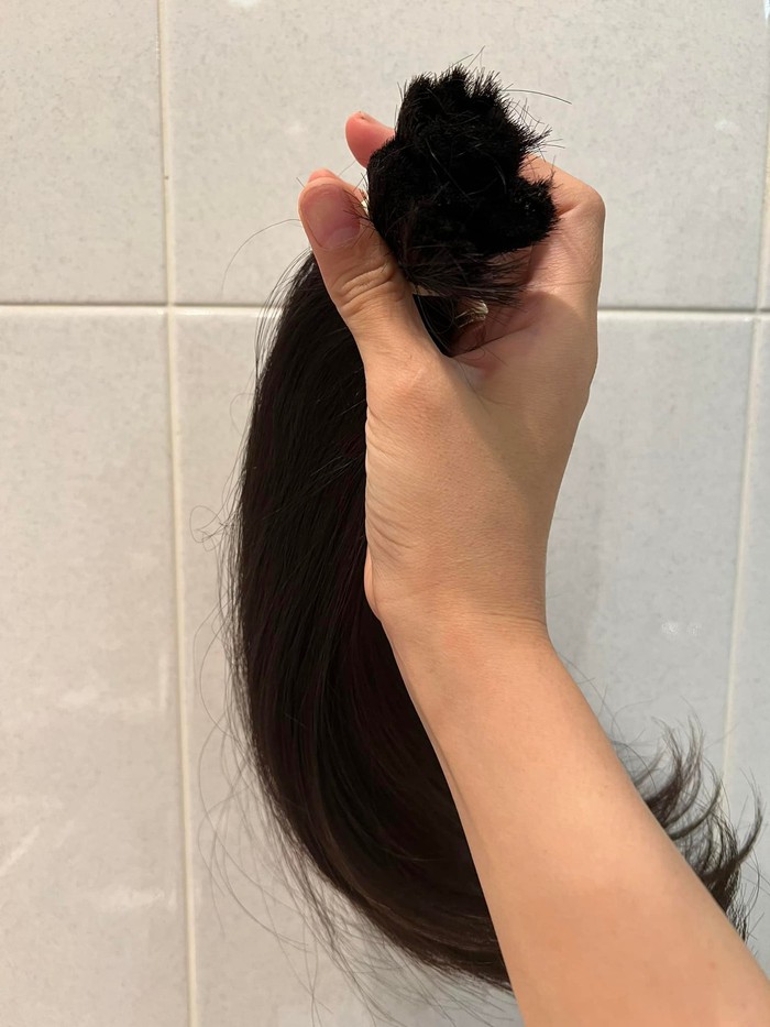 35 cm tóc của Vũ Hương Giang sau khi cắt, đã được gội sạch và sấy khô để gửi đi. Hoa khôi tiết lộ tóc cô rất dày, tầm gấp 1,5-2 độ dày trung bình