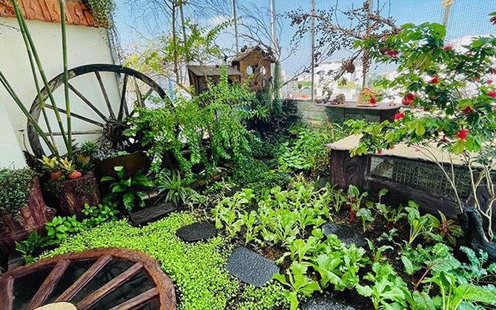 Vườn sân thượng đẹp như cổ tích của cô giáo dạy nấu ăn