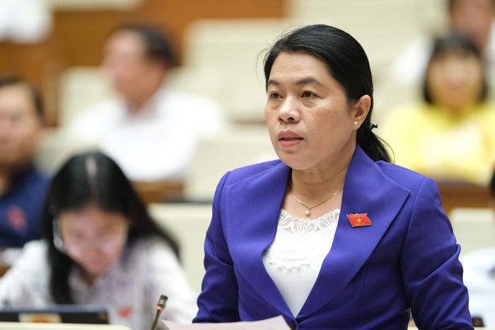 Xác định rõ hơn vai trò, trách nhiệm của Hội LHPN Việt Nam trong dự thảo Luật Phòng, chống bạo lực gia đình - Ảnh 1.