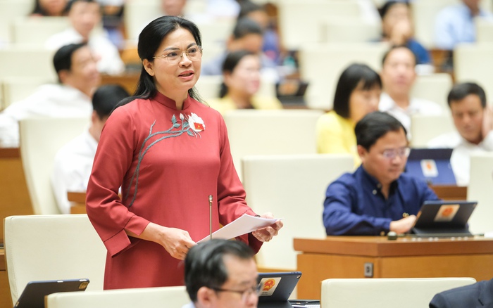 Chủ tịch Hội LHPN Việt Nam nêu 5 đề xuất vào dự thảo Luật Phòng, chống bạo lực gia đình (sửa đổi)